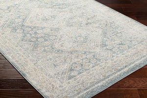 Livabliss Alpharetta Polypropylene Area Rug Medium Pile Machine Woven for High Traffic Rooms APH2312-9212