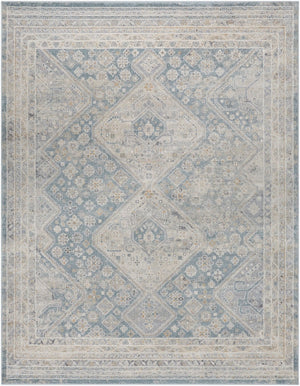 Livabliss Alpharetta Polypropylene Area Rug Medium Pile Machine Woven for High Traffic Rooms APH2312-9212