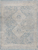 Alpharetta Machine Woven Rug APH-2312