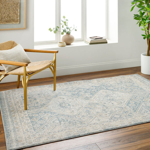 Livabliss Alpharetta Polypropylene Area Rug Medium Pile Machine Woven for High Traffic Rooms APH2312-9212