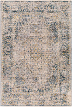 Livabliss Aspendos Traditional Polyester Area Rug Machine Woven High Low Pile Large Room APS2300-1215