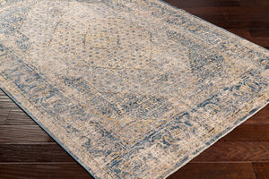 Livabliss Aspendos Traditional Polyester Area Rug Machine Woven High Low Pile Large Room APS2300-1215