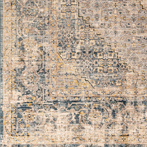 Livabliss Aspendos Traditional Polyester Area Rug Machine Woven High Low Pile Large Room APS2300-1215