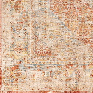 Livabliss Aspendos Traditional Machine Woven Polyester Area Rug with High Low Pile Texture APS2301-1014