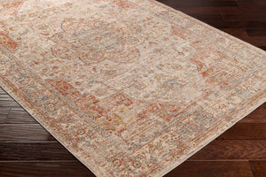 Livabliss Aspendos Machine Woven Polyester Area Rug Turkish Traditional Pattern for Living Rooms Light Gray, Rus 9' x 12'2" APS2305-9122