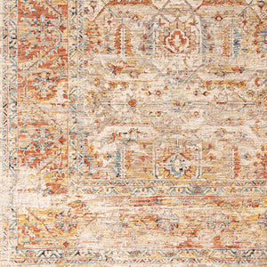Livabliss Aspendos Traditional Medallion Area Rug Low Pile Polyester for Entryway or Bedroom APS2311-274