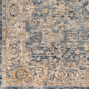 Livabliss Aspendos Traditional Pattern Fringe Border Polyester Area Rug for Entryways Bedrooms APS2314-274