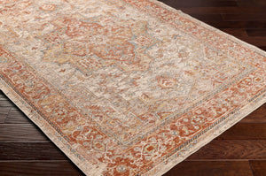 Livabliss Aspendos Vintage Traditional Fringe Area Rug Low Pile Polyester for Entryway or Kitchen APS2320-274