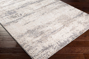 Livabliss Andorra High Pile Polypropylene Accent Rug Machine Woven in Turkey for Modern Interiors Beige, White 5'3" x 7' ARD2300-5373