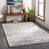 Andorra ARD-2303 6'7" x 9' Machine Woven Rug ARD2303-679 Livabliss Surya