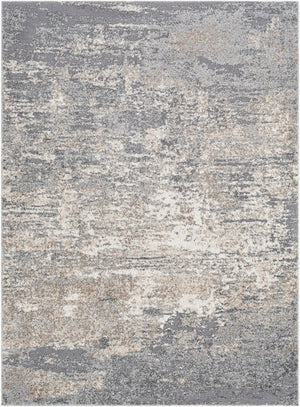 Livabliss Andorra High Pile Polypropylene Area Rug for Entryways Bedrooms and Modern Interiors Gray, Charcoal 2' x 2'11" ARD2306-23
