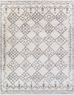 Livabliss Andorra Global Pattern High Pile Polypropylene Accent Rug for Eclectic Bohemian Spaces Gray, Charcoal 7'10" x 10' ARD2307-71010