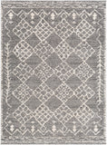 Andorra ARD-2308 6'7" x 9' Machine Woven Rug ARD2308-679 Livabliss Surya