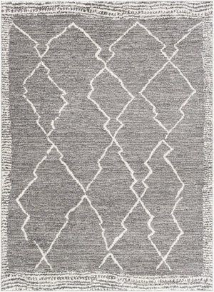 Livabliss Andorra Global Inspired High Pile Polypropylene Accent Rug for Entryways and Bedrooms Charcoal, White 6'7" x 9' ARD2309-679