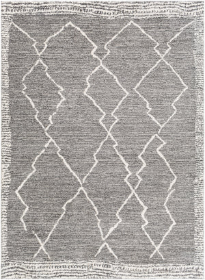 Andorra ARD-2309 6'7" x 9' Machine Woven Rug ARD2309-679 Livabliss Surya