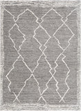 Andorra ARD-2309 6'7" x 9' Machine Woven Rug ARD2309-679 Livabliss Surya