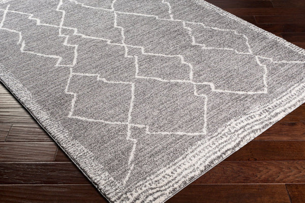 Livabliss Andorra Global Inspired High Pile Polypropylene Accent Rug for Entryways and Bedrooms Charcoal, White 7'10" x 10' ARD2309-71010