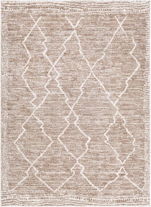 Andorra ARD-2310 6'7" x 9' Machine Woven Rug ARD2310-679 Livabliss Surya