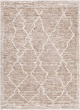 Andorra ARD-2310 6'7" x 9' Machine Woven Rug ARD2310-679 Livabliss Surya