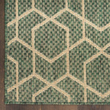 Nourison Horizon Indoor/Outdoor HOZ01 Machine Made Power-loomed Borderless Design Indoor/Outdoor Modern Outdoor Rug Green, Green 88% Polypropylene,12% Polyester 841491126431