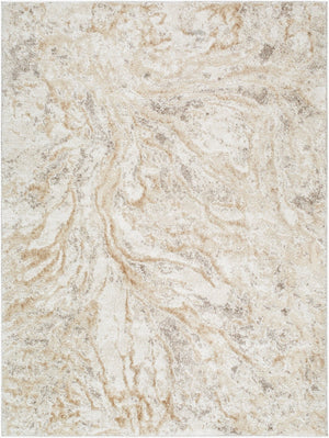 Livabliss Andorra Plus High Pile Polypropylene Rug Turkish Woven Accent for Entryways and Bedrooms Light Gray, Ivo 2' x 2'11" ARP2300-2211