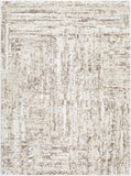 Andorra Plus ARP-2303 7'10" x 10' Machine Woven Rug ARP2303-71010 Livabliss Surya