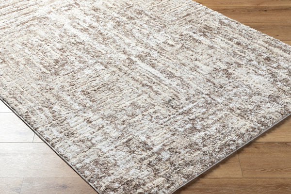 Livabliss Andorra High Pile Accent Rug Machine Woven in Turkey Plush Polypropylene Blend Light Beige, Ta 2' x 2'11" ARP2303-2211