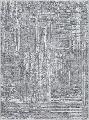 Livabliss Andorra High Pile Accent Rug Turkey Woven Plush Polypropylene Blend for Cozy Spaces Charcoal, Light 7'10" x 10' ARP2304-71010