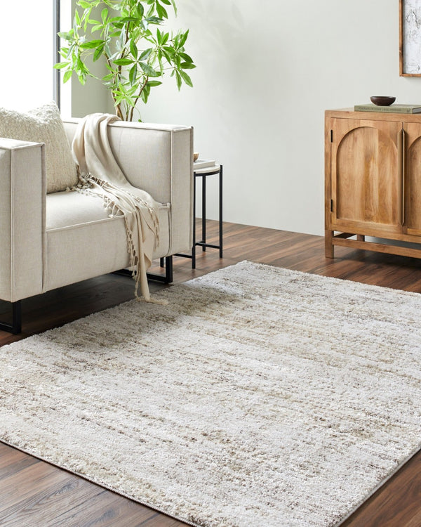 Livabliss Andorra High Pile Turkish Machine Woven Rug Plush Polypropylene Blend Entryway Accent Light Gray, Ivo 5'3" x 7'3" ARP2305-5373