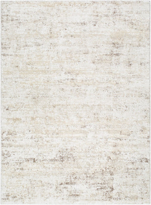 Livabliss Andorra High Pile Turkish Machine Woven Rug Plush Polypropylene Blend Entryway Accent Light Gray, Ivo 5'3" x 7'3" ARP2305-5373