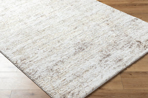Livabliss Andorra High Pile Turkish Machine Woven Rug Plush Polypropylene Blend Entryway Accent Light Gray, Ivo 5'3" x 7'3" ARP2305-5373