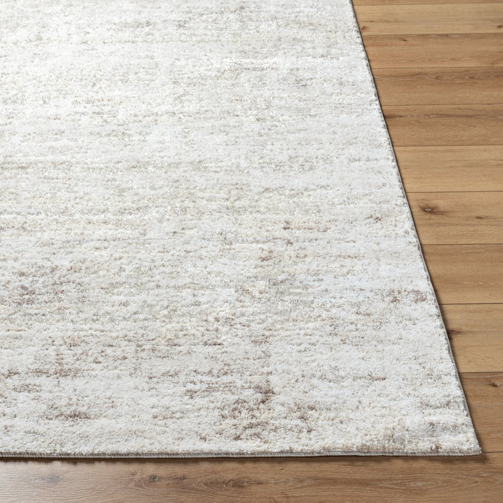 Livabliss Andorra High Pile Turkish Machine Woven Rug Plush Polypropylene Blend Entryway Accent Light Gray, Ivo 5'3" x 7'3" ARP2305-5373