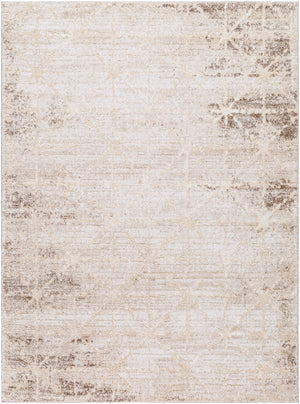 Andorra Plus ARP-2306 7'10" x 10' Machine Woven Rug ARP2306-71010 Livabliss Surya