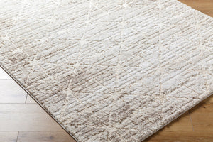 Livabliss Andorra High Pile Machine Woven Accent Rug Turkey Crafted for Entryway or Bedside Use Light Brown, Li 2' x 2'11" ARP2306-2211