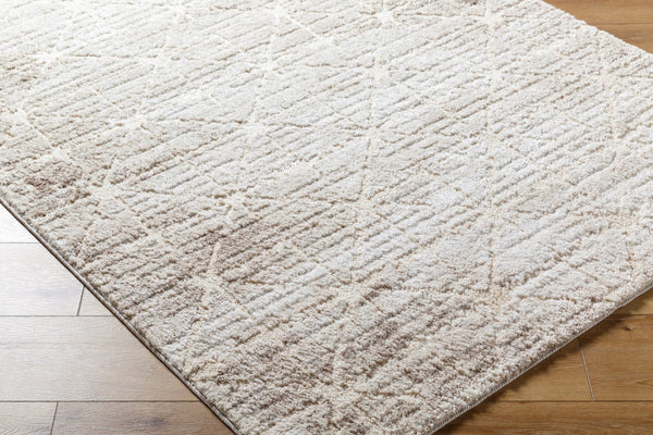 Livabliss Andorra High Pile Machine Woven Accent Rug Turkey Crafted for Entryway or Bedside Use Light Brown, Li 2' x 2'11" ARP2306-2211