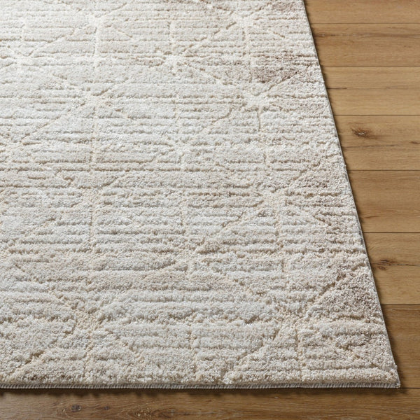 Livabliss Andorra High Pile Machine Woven Accent Rug Turkey Crafted for Entryway or Bedside Use Light Brown, Li 2' x 2'11" ARP2306-2211