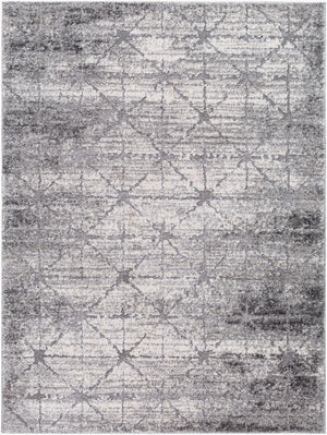Livabliss Andorra Plus High Pile Machine Woven Accent Rug Plush Turkish Polypropylene Black, Light Gr 5'3" x 7'3" ARP2307-5373