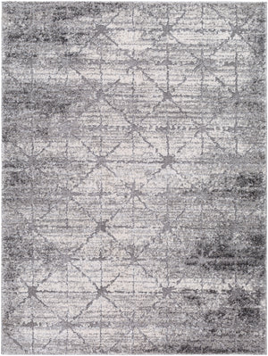 Andorra Plus ARP-2307 7'10" x 10' Machine Woven Rug ARP2307-71010 Livabliss Surya