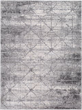 Andorra Plus ARP-2307 7'10" x 10' Machine Woven Rug ARP2307-71010 Livabliss Surya