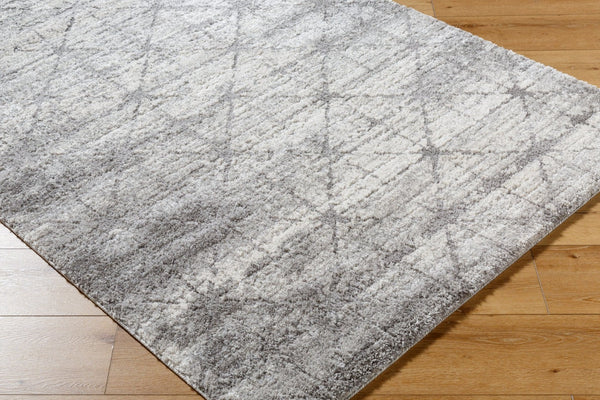 Livabliss Andorra Plus High Pile Machine Woven Accent Rug Plush Turkish Polypropylene Black, Light Gr 5'3" x 7'3" ARP2307-5373