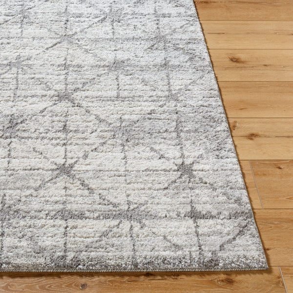 Livabliss Andorra Plus High Pile Machine Woven Accent Rug Plush Turkish Polypropylene Black, Light Gr 5'3" x 7'3" ARP2307-5373