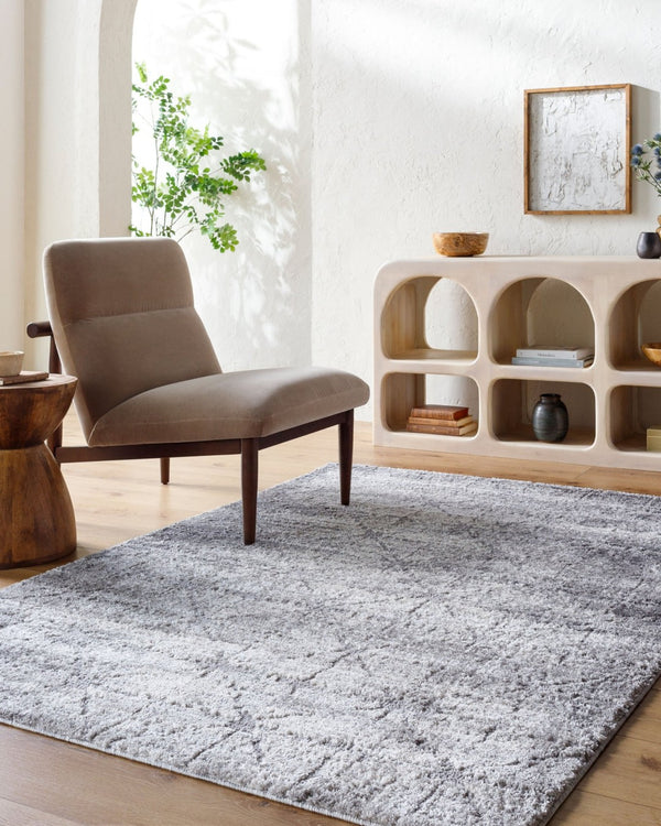 Livabliss Andorra Plus High Pile Machine Woven Accent Rug Plush Turkish Polypropylene Black, Light Gr 5'3" x 7'3" ARP2307-5373