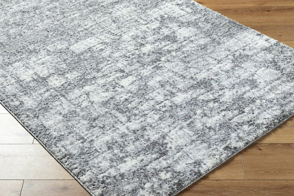 Livabliss Andorra High Pile Accent Rug Machine Woven Plush Polypropylene Blend for Entryway Decor Black, Light Gr 7'10" x 10' ARP2308-71010
