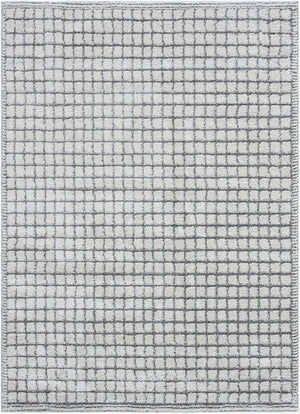 Livabliss Andorra Machine Woven High Pile Rug Soft Polypropylene Blend for Entryways and Baths Charcoal, Light 7'10" x 10' ARP2309-71010