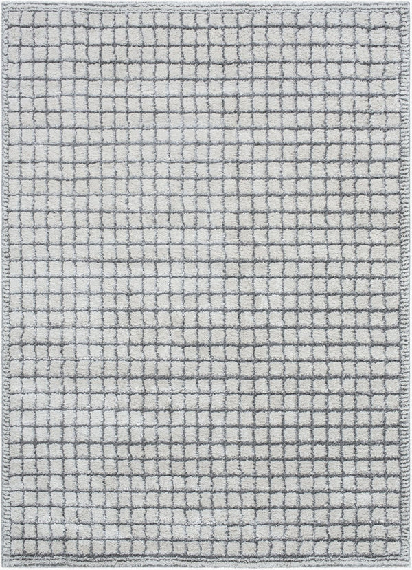 Livabliss Andorra Machine Woven High Pile Rug Soft Polypropylene Blend for Entryways and Baths Charcoal, Light 7'10" x 10' ARP2309-71010