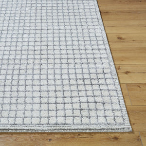 Livabliss Andorra Machine Woven High Pile Rug Soft Polypropylene Blend for Entryways and Baths Charcoal, Light 7'10" x 10' ARP2309-71010