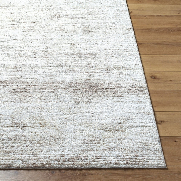 Livabliss Andorra High Pile Accent Rug Plush Polypropylene Blend for Entryways and Bedside Light Gray, Lig 2' x 2'11" ARP2310-2211