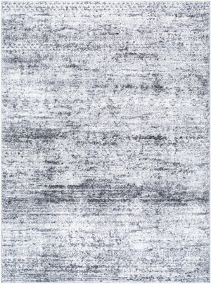 Livabliss Andorra Plush High Pile Turkish Accent Rug Polypropylene Blend for Entryways or Bedside Black, Charcoal 2' x 2'11" ARP2311-2211