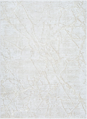 Livabliss Andorra Plush High Pile Accent Rug Soft Polypropylene Blend for Entryways and Bedside Light Gray, Lig 7'10" x 10' ARP2312-71010