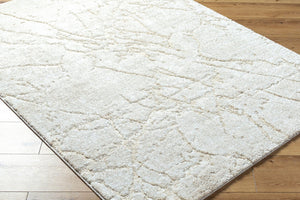 Livabliss Andorra Plush High Pile Accent Rug Soft Polypropylene Blend for Entryways and Bedside Light Gray, Lig 7'10" x 10' ARP2312-71010